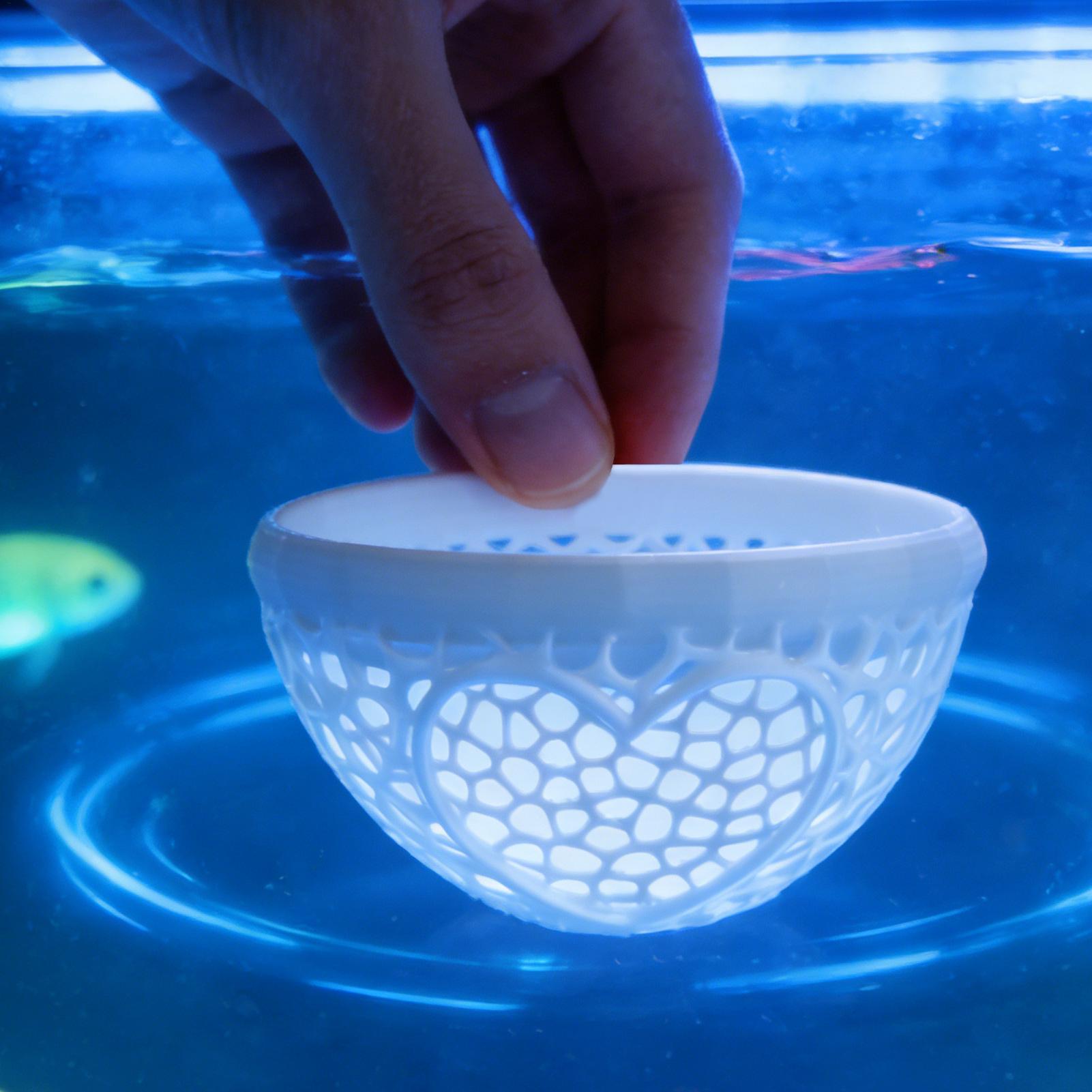 Planted Aquarium For Betta - Yüzen beta yuvası Beta hamakı Yüzen