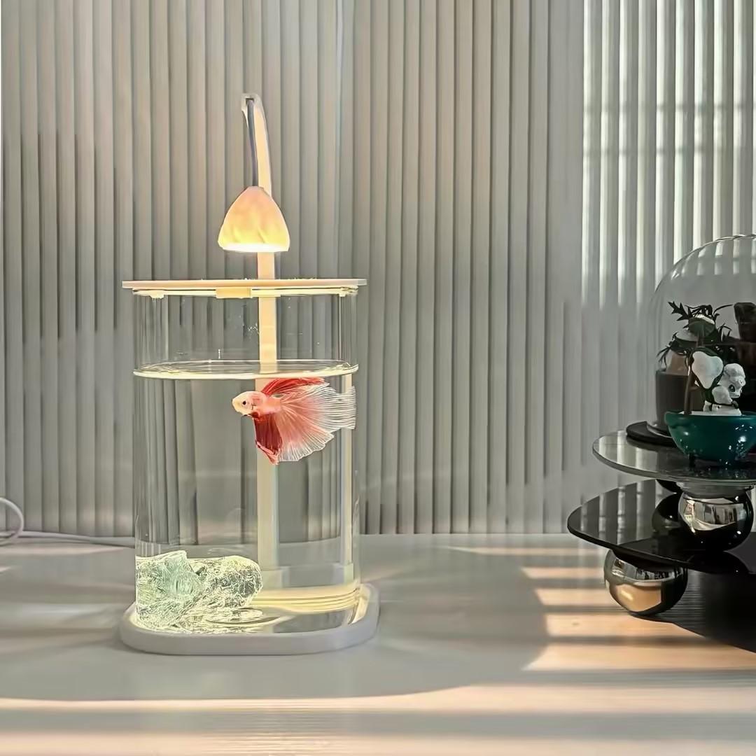 Planted Aquarium For Betta - 360 ° Panoramik Şeffaf Masaüstü Balık