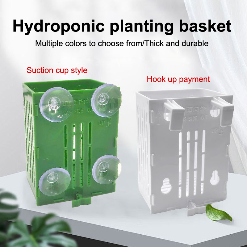 Aquarium Plant Holder - Asılı Vantuzlu Kanca Akvaryum Bitki Tutucu