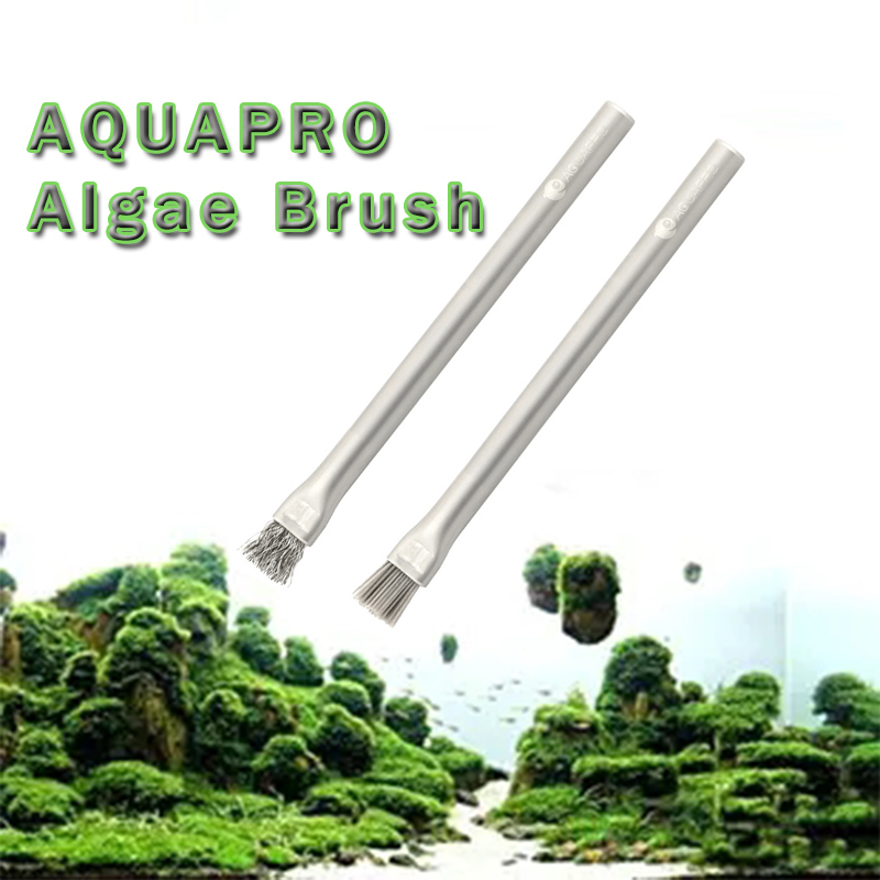 Planted Aquarium Hard Water - Aquapro Yosun Fırçası Akvaryum Aksesuarı Balık