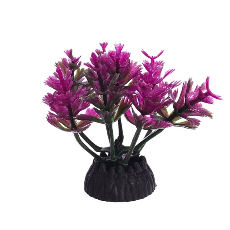 Planted Aquarium Models - G6KF Balık Tankları Tesisi Dekorasyonu, Peyzajı