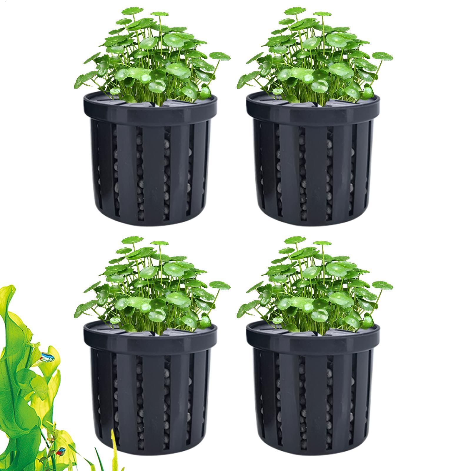 Aquarium Plant Holder - 4 adet akvaryum saksı süngeri vantuzlu,