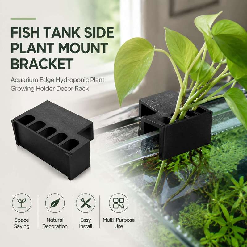 Aquarium Plant Diseases - Balık Tankı Yan Bitki Montaj Braketi