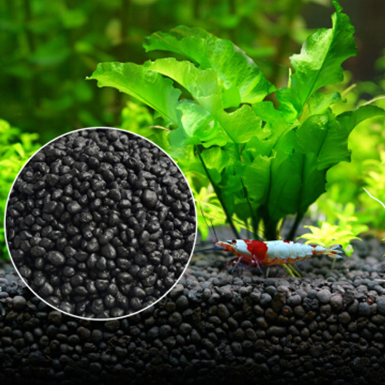 Planted Aquarium Moss - Akvaryum bitki tohumları toprak balık tankı