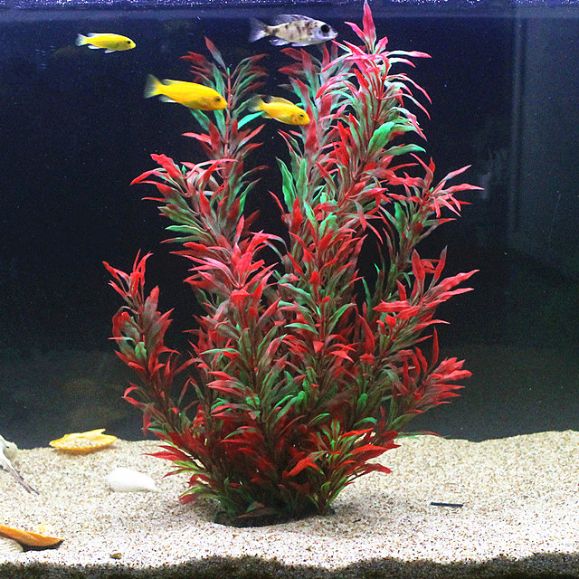 Aquarium Planted Fish Tank - 50 CM Yapay Balık Tankı Nadir