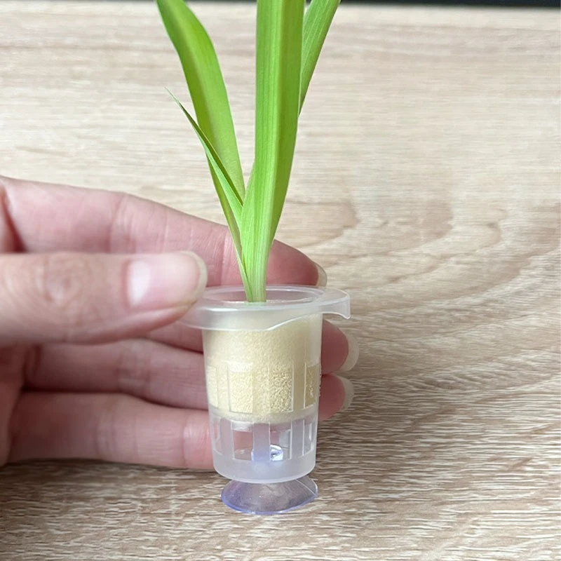 Aquarium Plant Holder - 50 adet/10 adet Akvaryum Dikim Sepeti