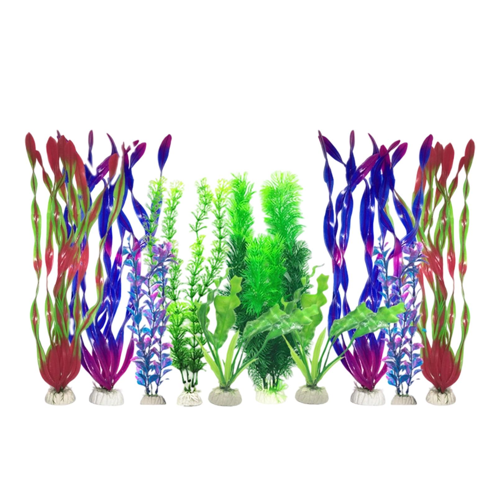 Yapay Akvaryum Bitkileri Seti  - Planted Aquarium For Betta incelemesi ve fiyatı