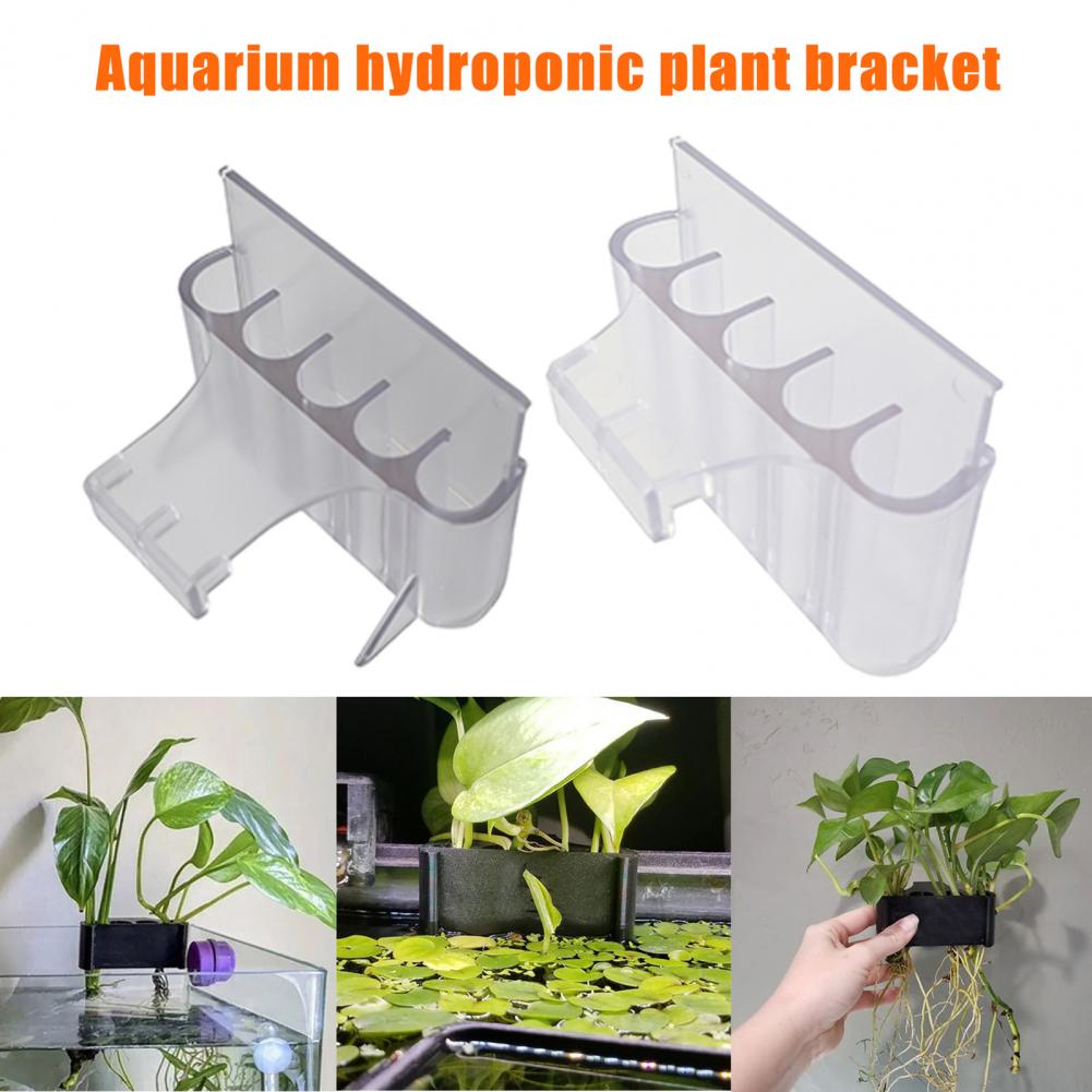 4.5/6.5cm akvaryum bitki tutuc - Aquarium Plant Holder incelemesi ve fiyatı