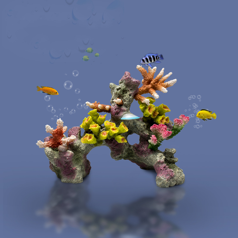 Betta Fishbowl süsler büyük me - Planted Aquarium For Betta incelemesi ve fiyatı