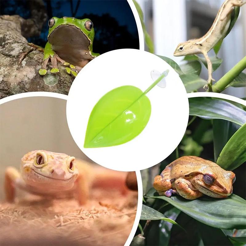 Akvaryum Aksesuarları Balık Ta - Planted Aquarium For Betta incelemesi ve fiyatı