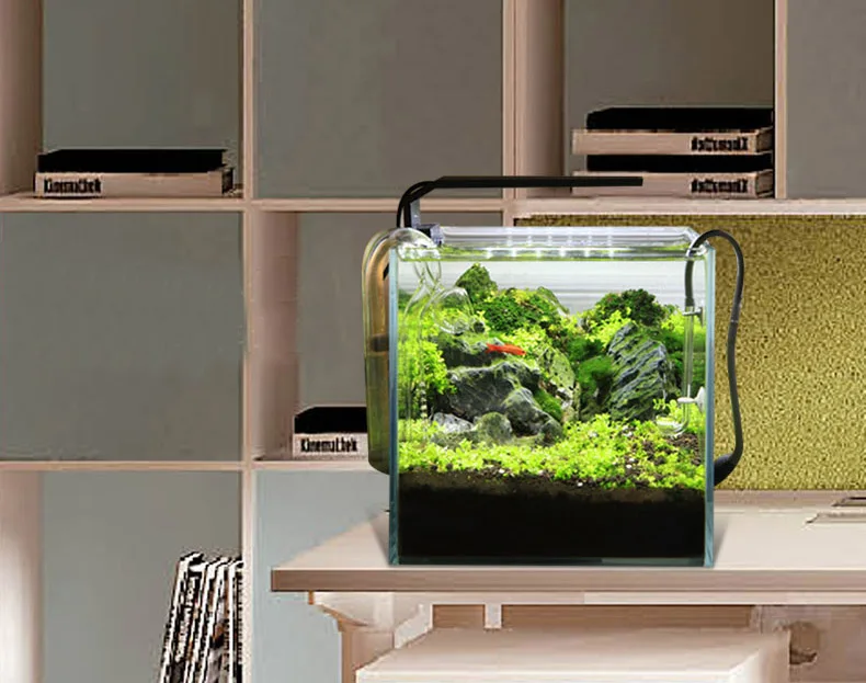 Spirürler C Serisi ADA Tarzı B - Aquarium Plant Diseases incelemesi ve fiyatı