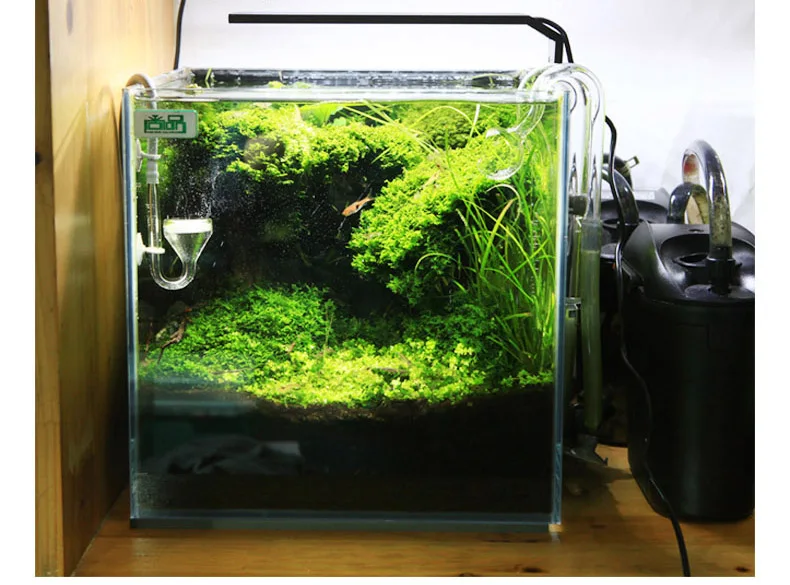 Spirürler C Serisi ADA Tarzı B - Aquarium Plant Diseases incelemesi ve fiyatı