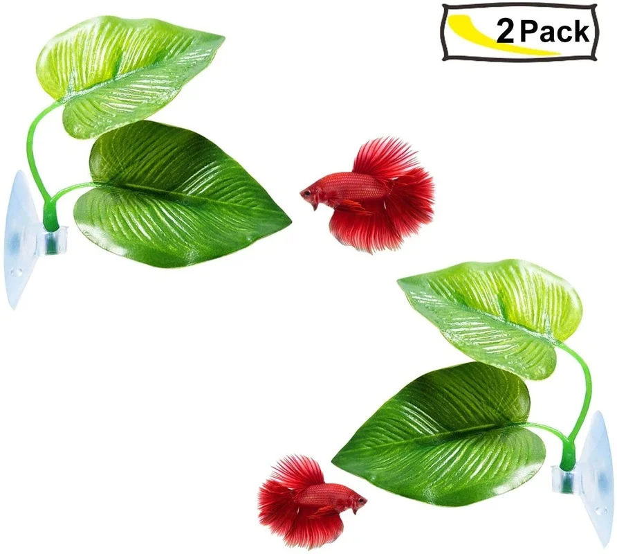 Betta Balık Yaprağı Hamak Bett - Planted Aquarium For Betta incelemesi ve fiyatı