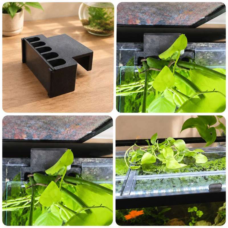 Balık Tankı Yan Bitki Montaj B - Aquarium Plant Diseases incelemesi ve fiyatı