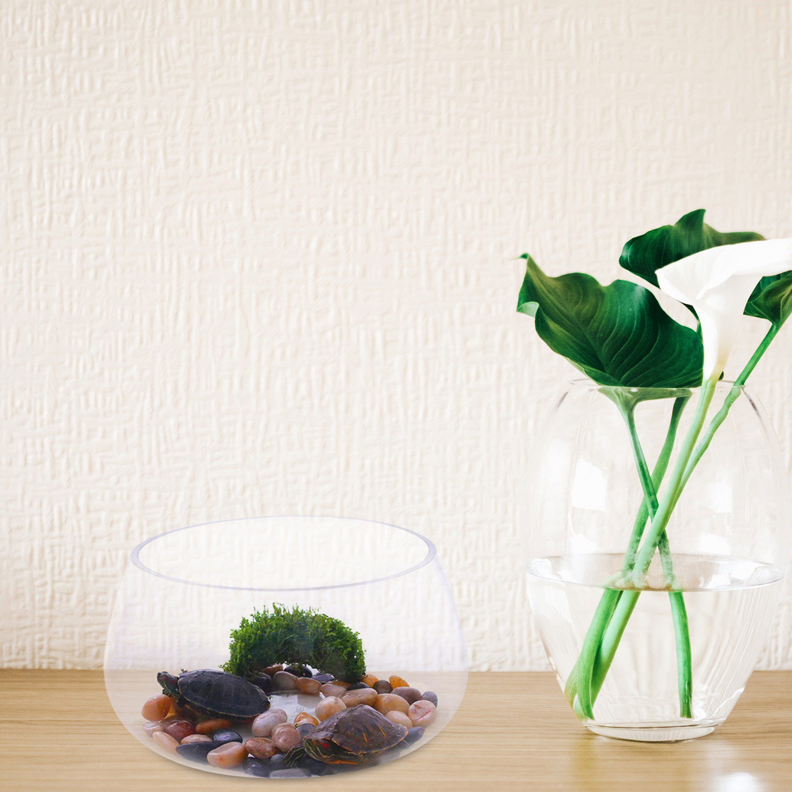 Yuvarlak Şeffaf Cam Mini Akvar - Aquarium Planted Shop incelemesi ve fiyatı