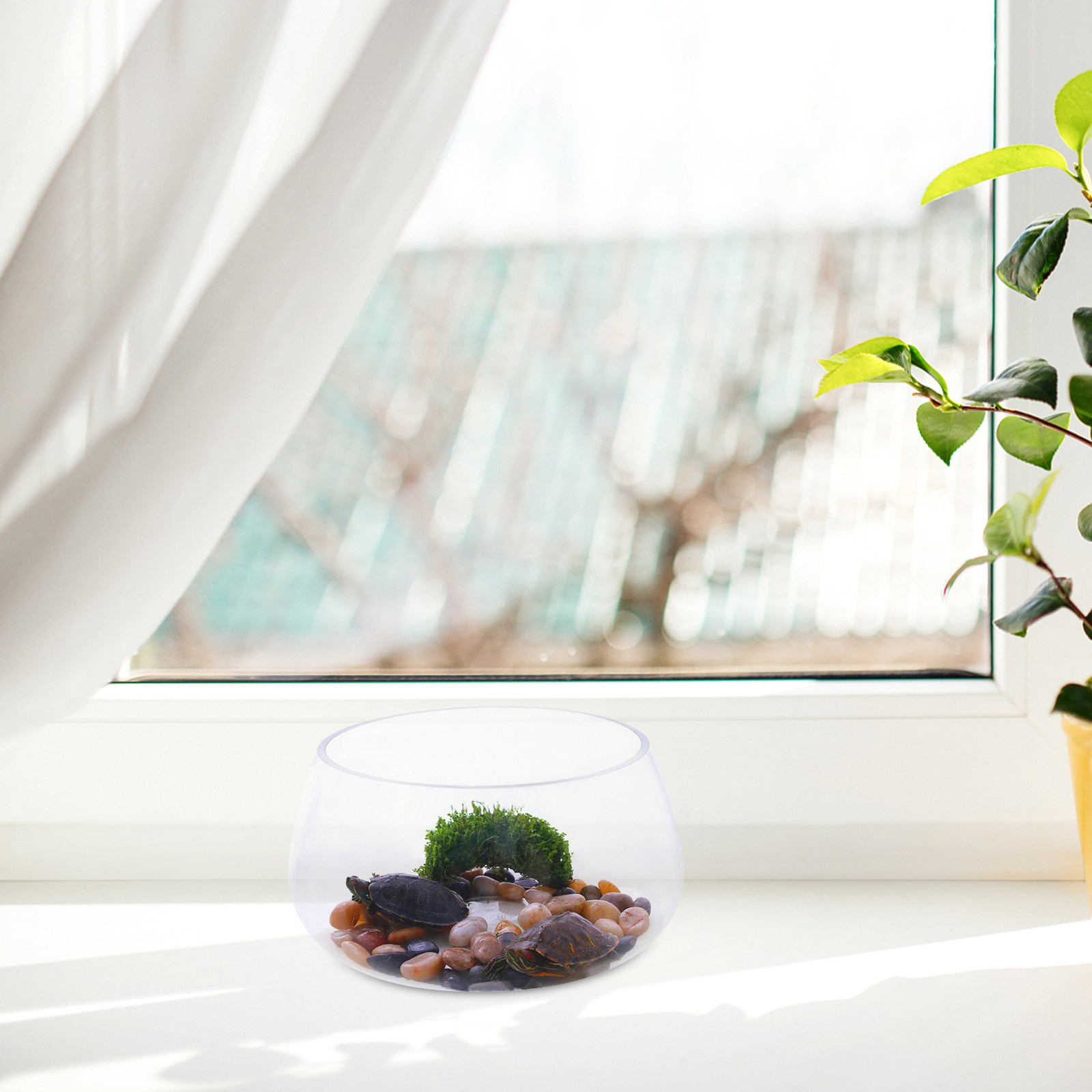 Yuvarlak Şeffaf Cam Mini Akvar - Aquarium Planted Shop incelemesi ve fiyatı