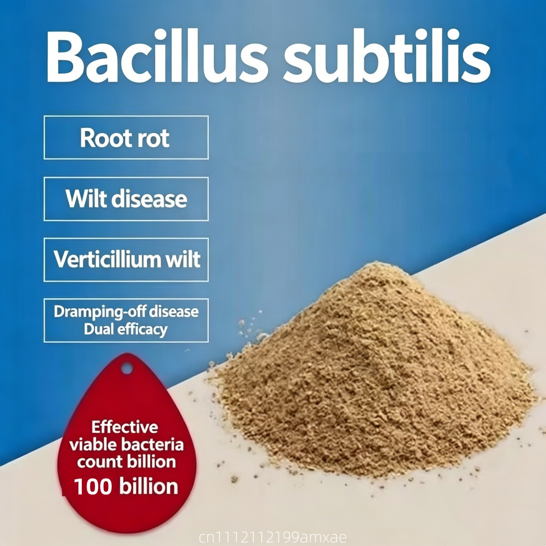 Yüksek Aktiviteli Bacillus Sub - Aquarium Plant Diseases incelemesi ve fiyatı