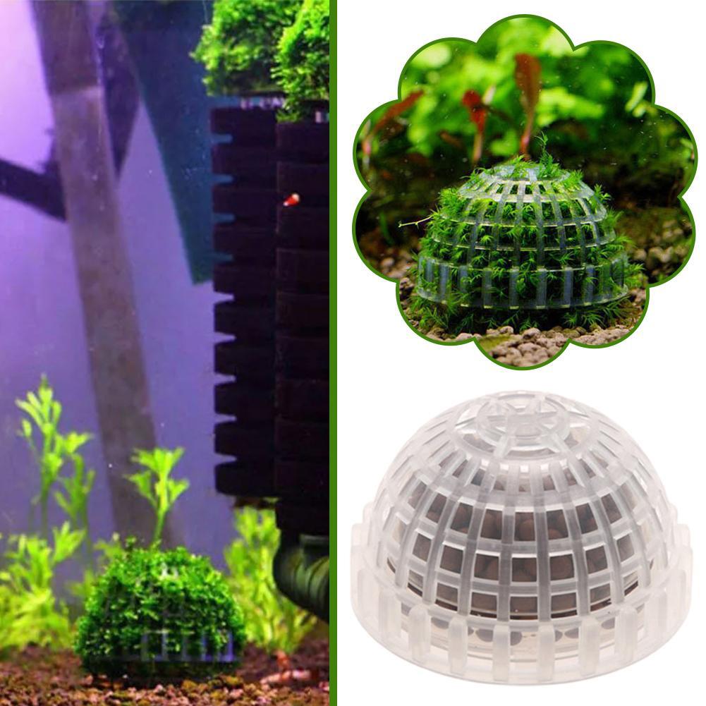 1/2/3/4/5 adet akvaryum dekora - Planted Aquarium Moss incelemesi ve fiyatı