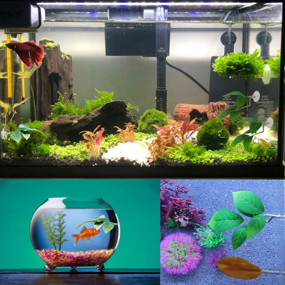 1 adet Betta balık hamak yumuş - Planted Aquarium For Betta incelemesi ve fiyatı
