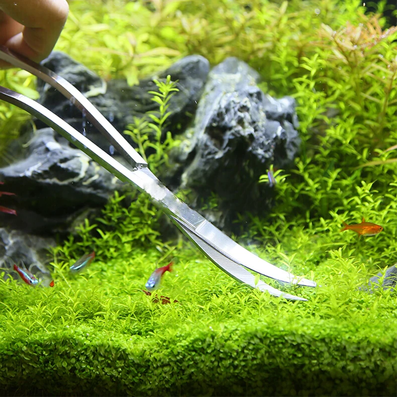 Akvaryum Makas Araçları Balık  - Aquarium Plant Holder incelemesi ve fiyatı