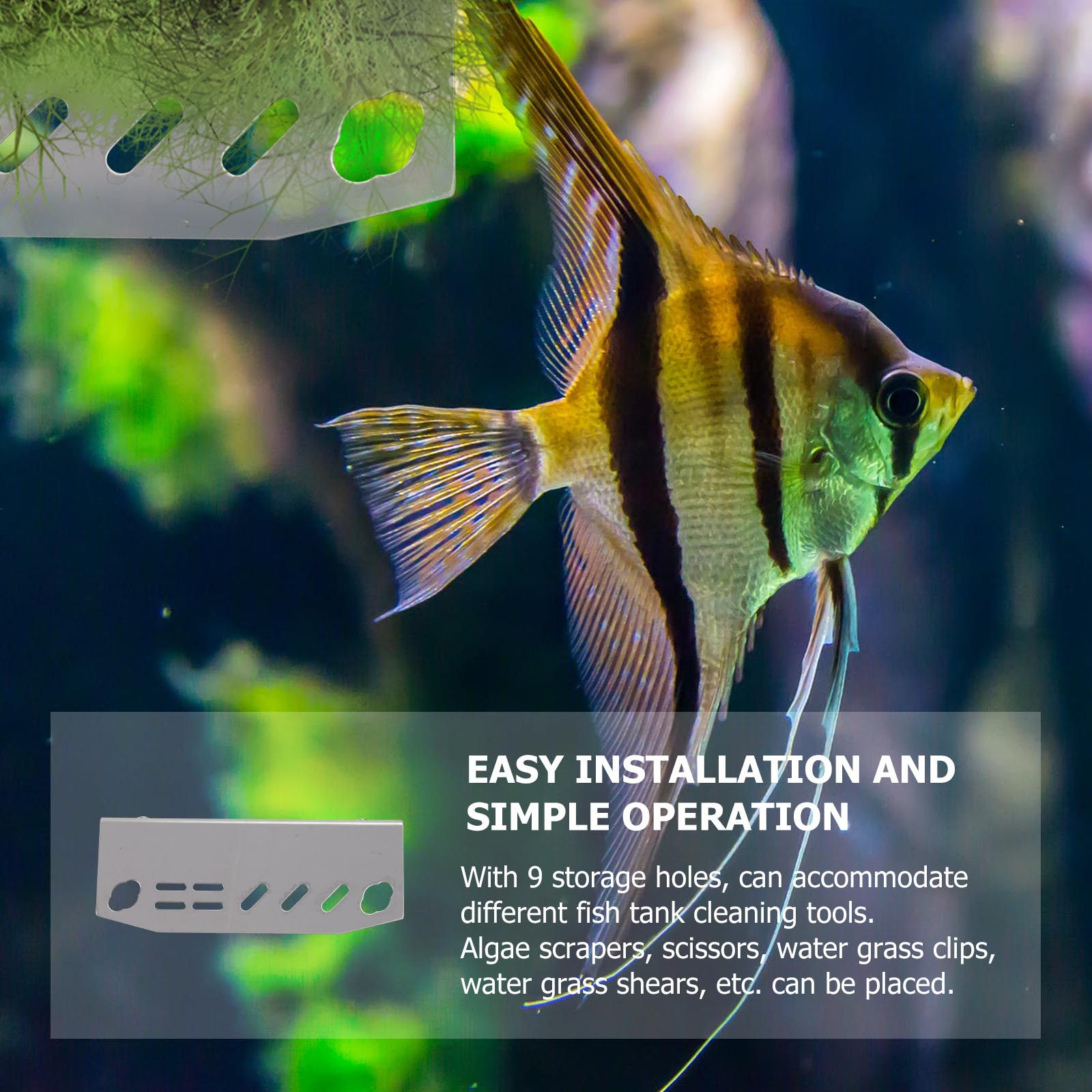 1 Adet Akvaryum Alet Rafı Pasl - Aquarium Plant Holder incelemesi ve fiyatı