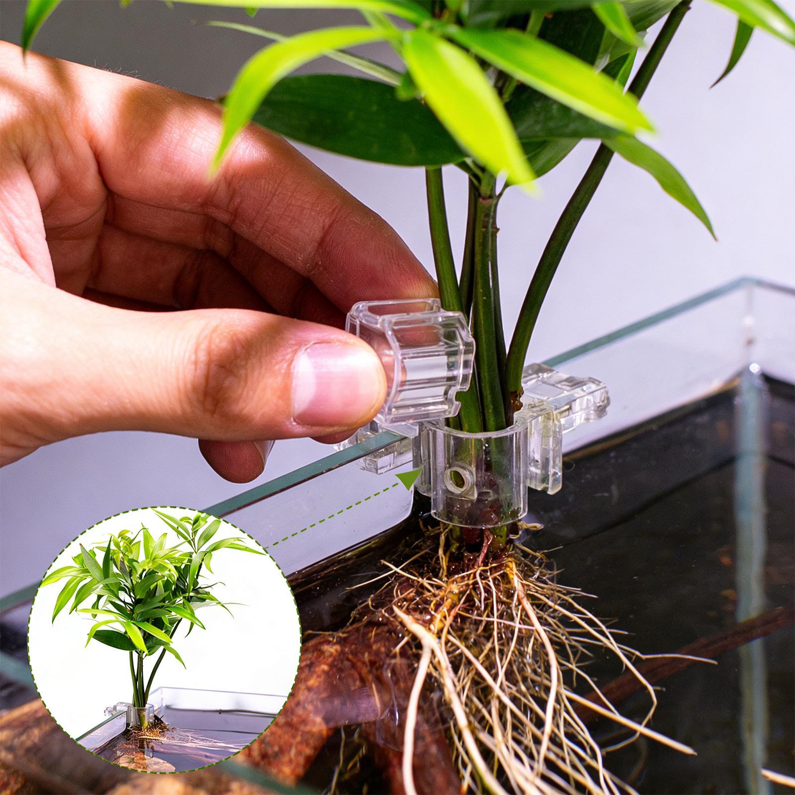Balık Tankı Bitki Tutucu 6 Par - Aquarium Plant Diseases incelemesi ve fiyatı