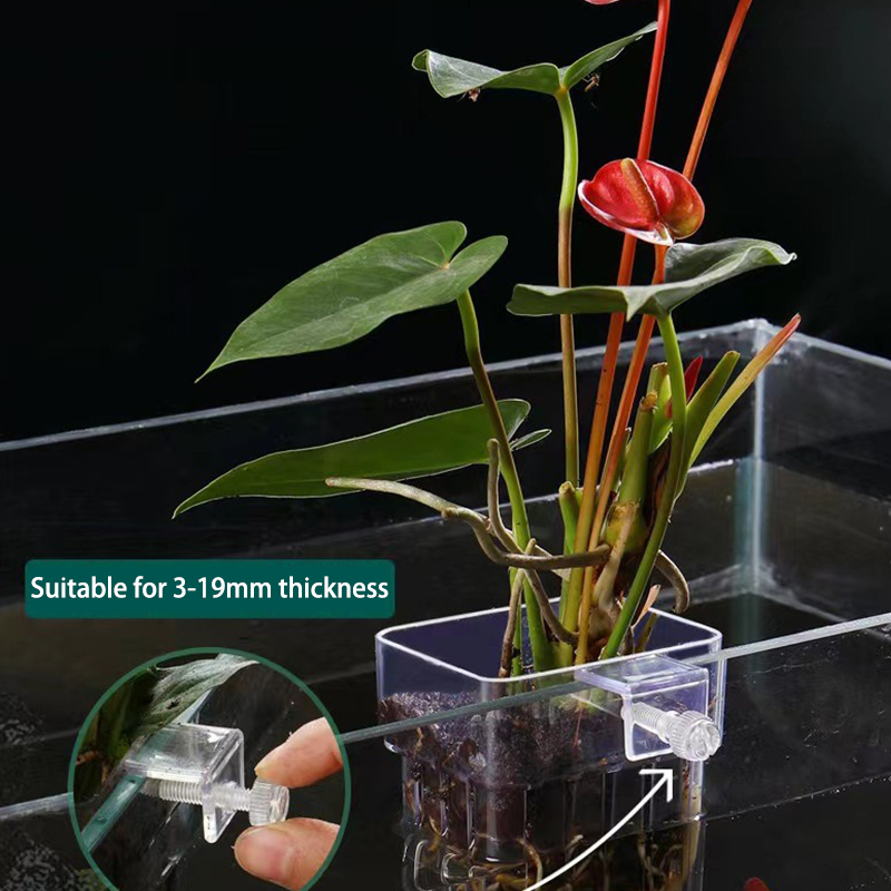 Çok fonksiyonlu balık akvaryum - Aquarium Planted Fish Tank incelemesi ve fiyatı