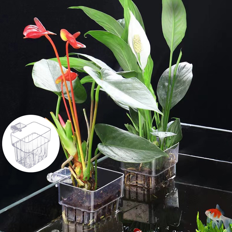 Çok fonksiyonlu balık akvaryum - Aquarium Planted Fish Tank incelemesi ve fiyatı