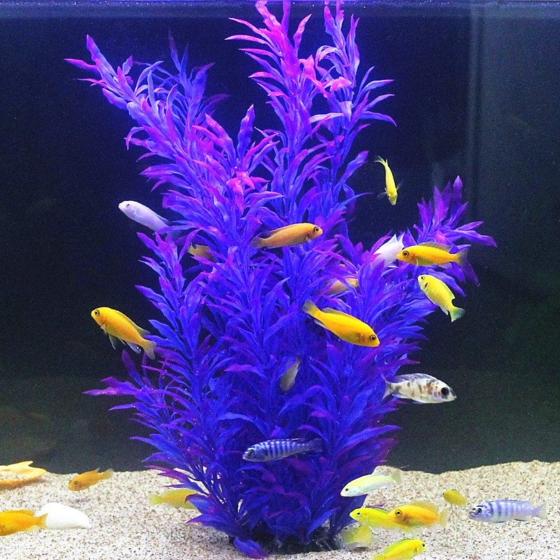 50 CM Yapay Balık Tankı Nadir  - Aquarium Planted Fish Tank incelemesi ve fiyatı