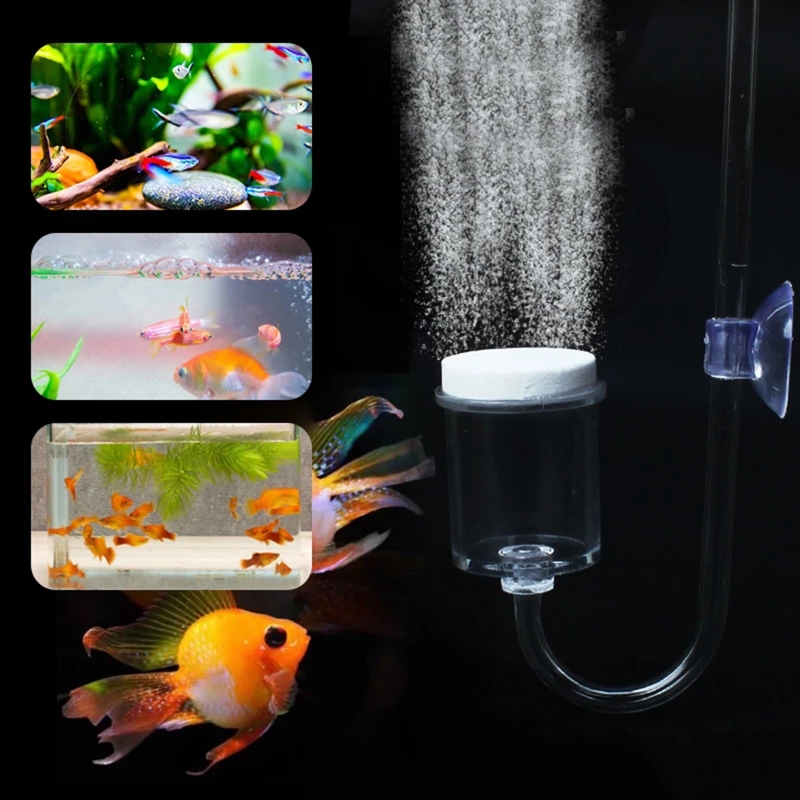 4 adet Set DIY CO2 difüzör içi - Planted Aquarium Moss incelemesi ve fiyatı