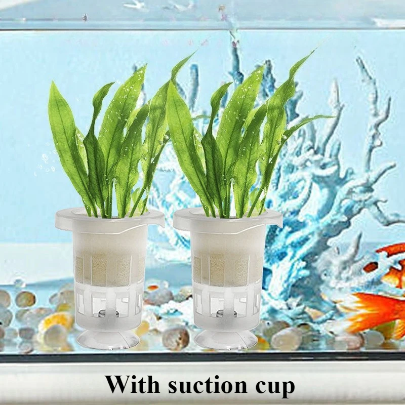 50 adet/10 adet Akvaryum Dikim - Aquarium Plant Holder incelemesi ve fiyatı